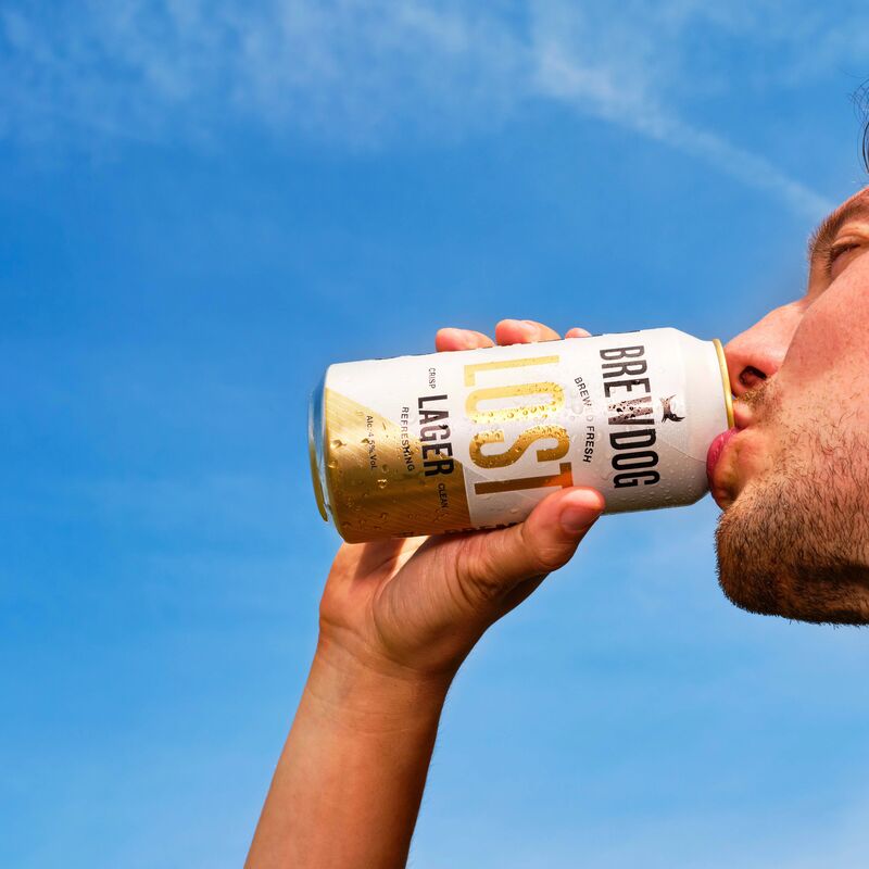 Lost Lager 440ml
