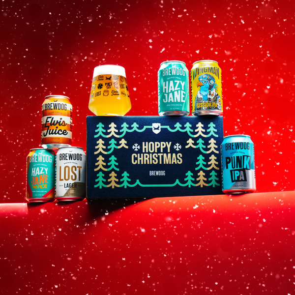 Xmas Craft Beer Gift Pack