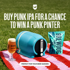 Punk IPA