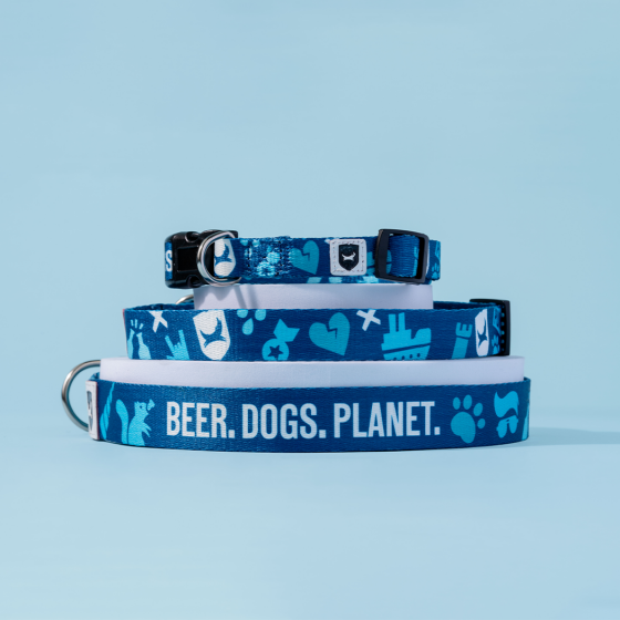 Icon Dog Collar