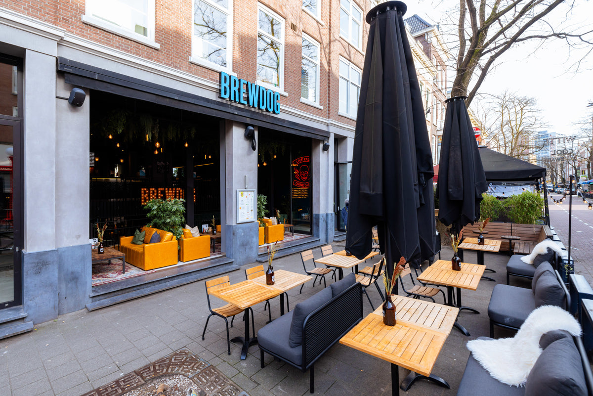 Rotterdam Witte De Withstraat - Image 7